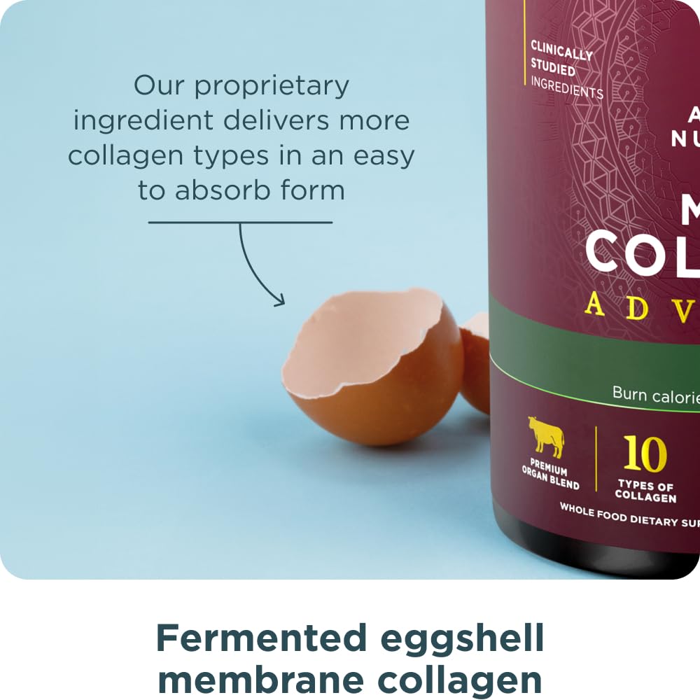 Ancient Nutrition Advanced Hydrolyzed Collagen Peptides Powder Protein Lean with Probiotics and Vitamin C, Cinnamon, for Women & Men, Supports Healthy Weight Management & Muscle Building, 25 Servings - Image 8