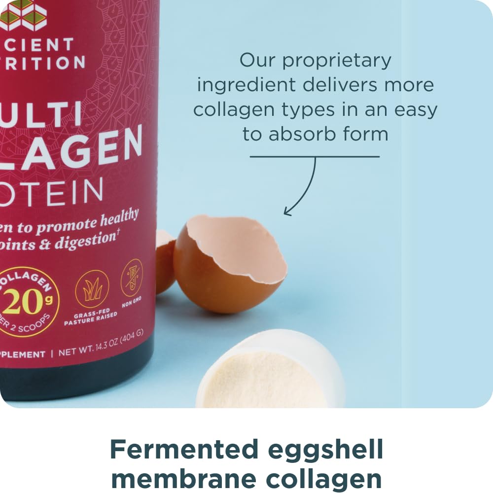 Ancient Nutrition Collagen Peptides Powder, Multi Collagen Protein, Women & Men, Vitamin C, Probiotics, Hydrolyzed Collagen, Supports Skin, Joints, Gut Health, Unflavored, 40 Servings - Image 5