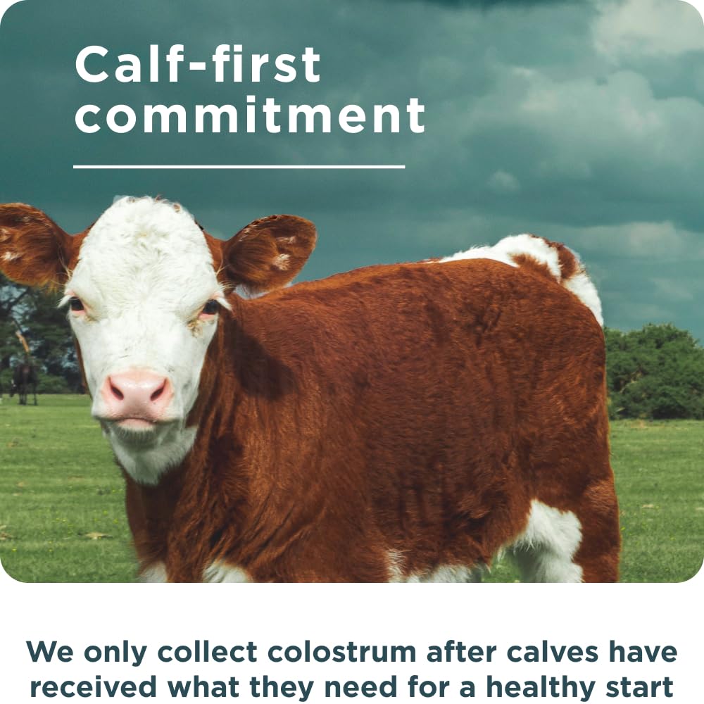 Ancient Nutrition Colostrum Superfood Powder, Grass Fed Bovine Colostrum, Supports Healthy Gut Microbiome and Immune System, Clinically Studied Lactoferrin & Probiotics, Lemon Bar, 60 Servings - Image 6