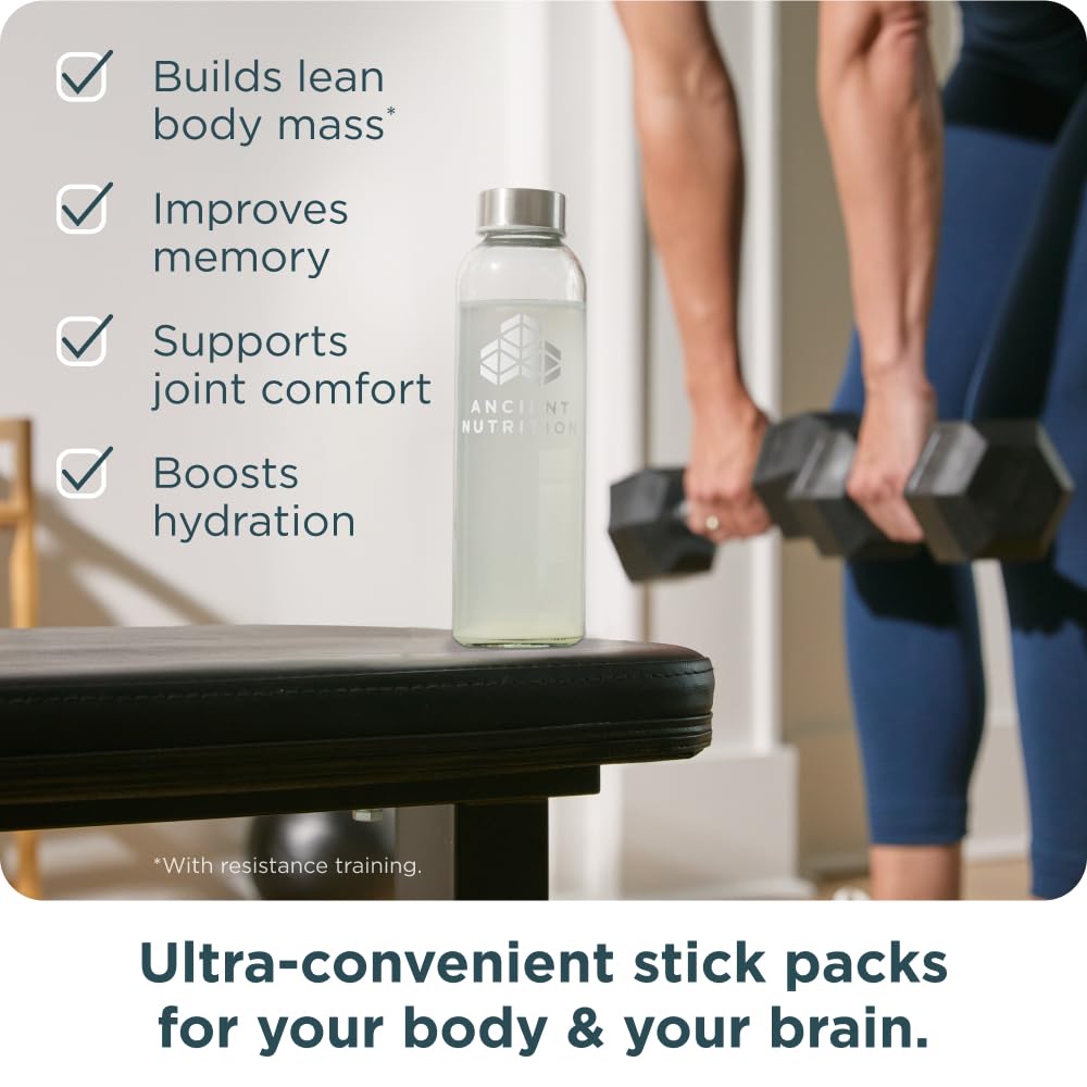 Ancient Nutrition Creatine + Collagen – Muscle Strength, Lean Body Mass, Joint Comfort & Cognitive Support – Includes 5g Creatine Monohydrate for Women + Electrolytes, Lemon, 14 Stick Packs - Image 4