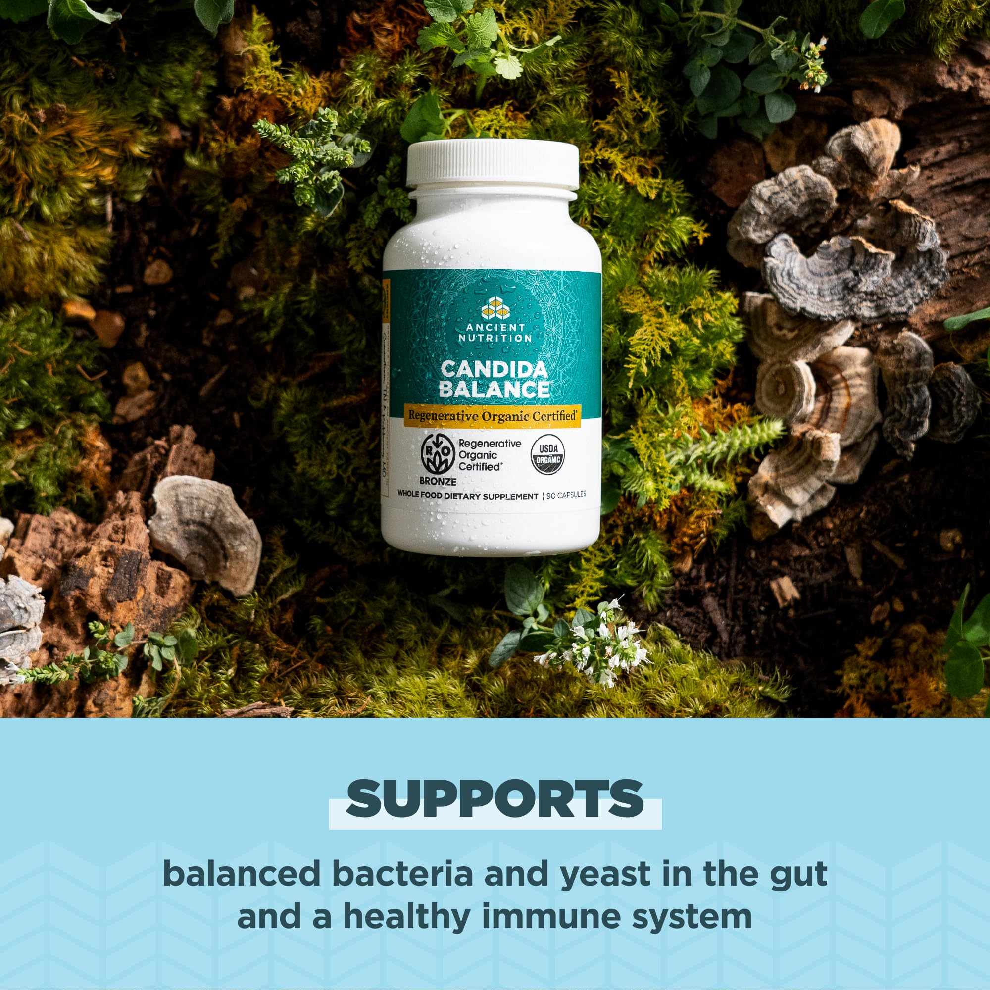 Ancient Nutrition Gut Health Supplement, Regenerative Organic Certified Candida Capsules, Provides Occasional Diarrhea, Constipation, Gas and Bloating Relief, Supports Immune Function, 90 Count - Image 3