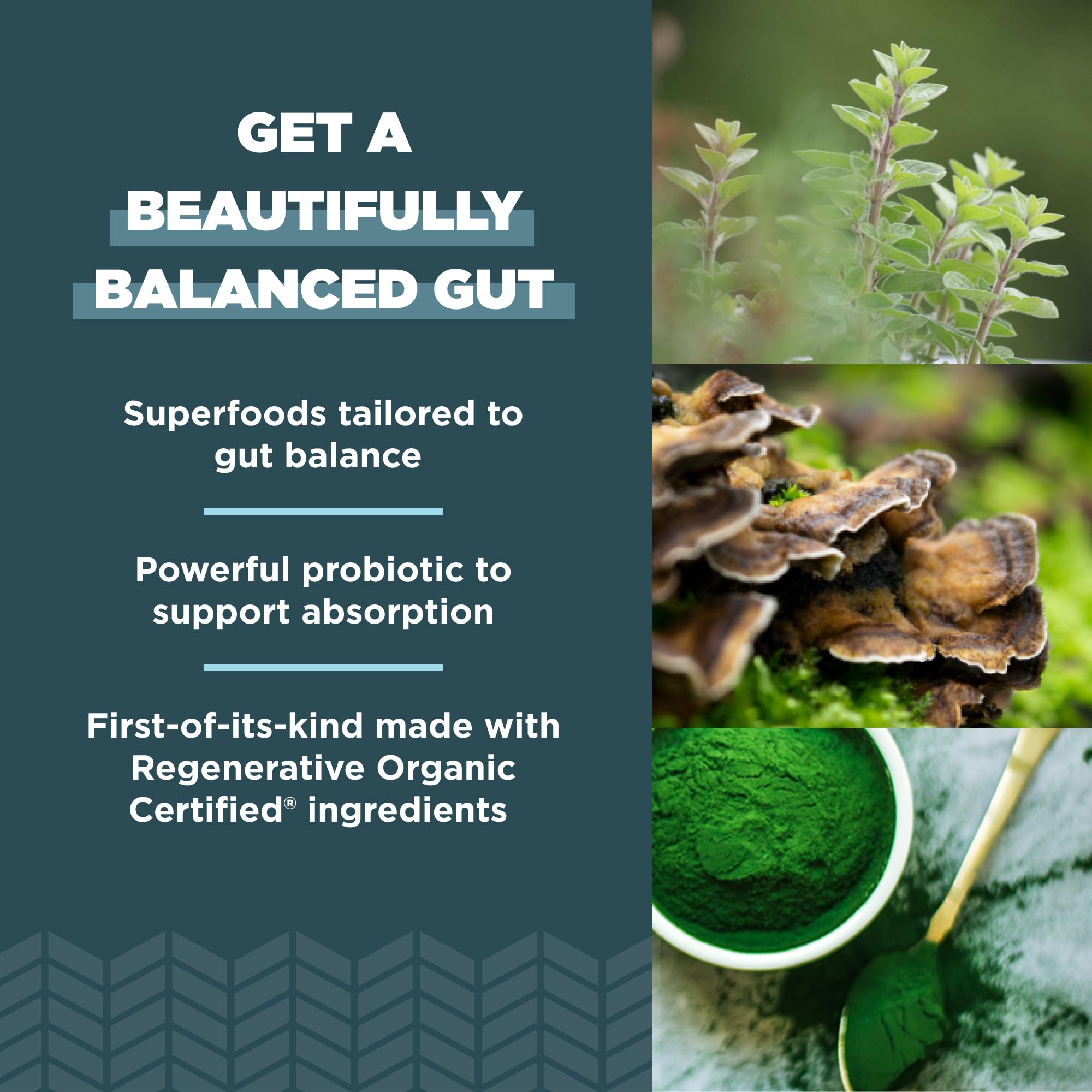 Ancient Nutrition Gut Health Supplement, Regenerative Organic Certified Candida Capsules, Provides Occasional Diarrhea, Constipation, Gas and Bloating Relief, Supports Immune Function, 90 Count - Image 4