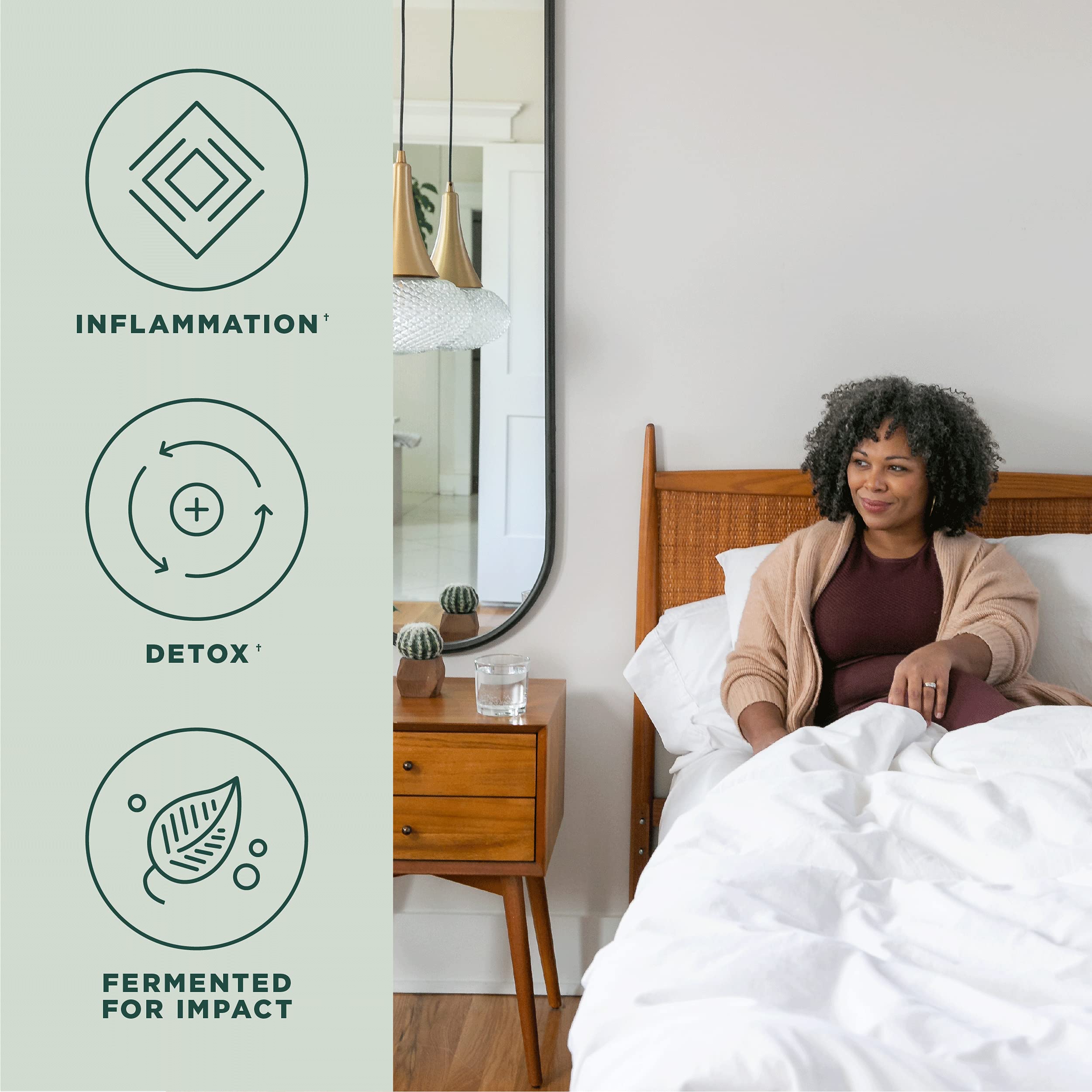 Ancient Nutrition Liver Detox Supplement, Ancient Herbals Liver Cleanse with Milk Thistle, Dandelion Root & Reishi for Optimal Liver Support, 1300mg, Gluten Free, 60 Count - Image 4