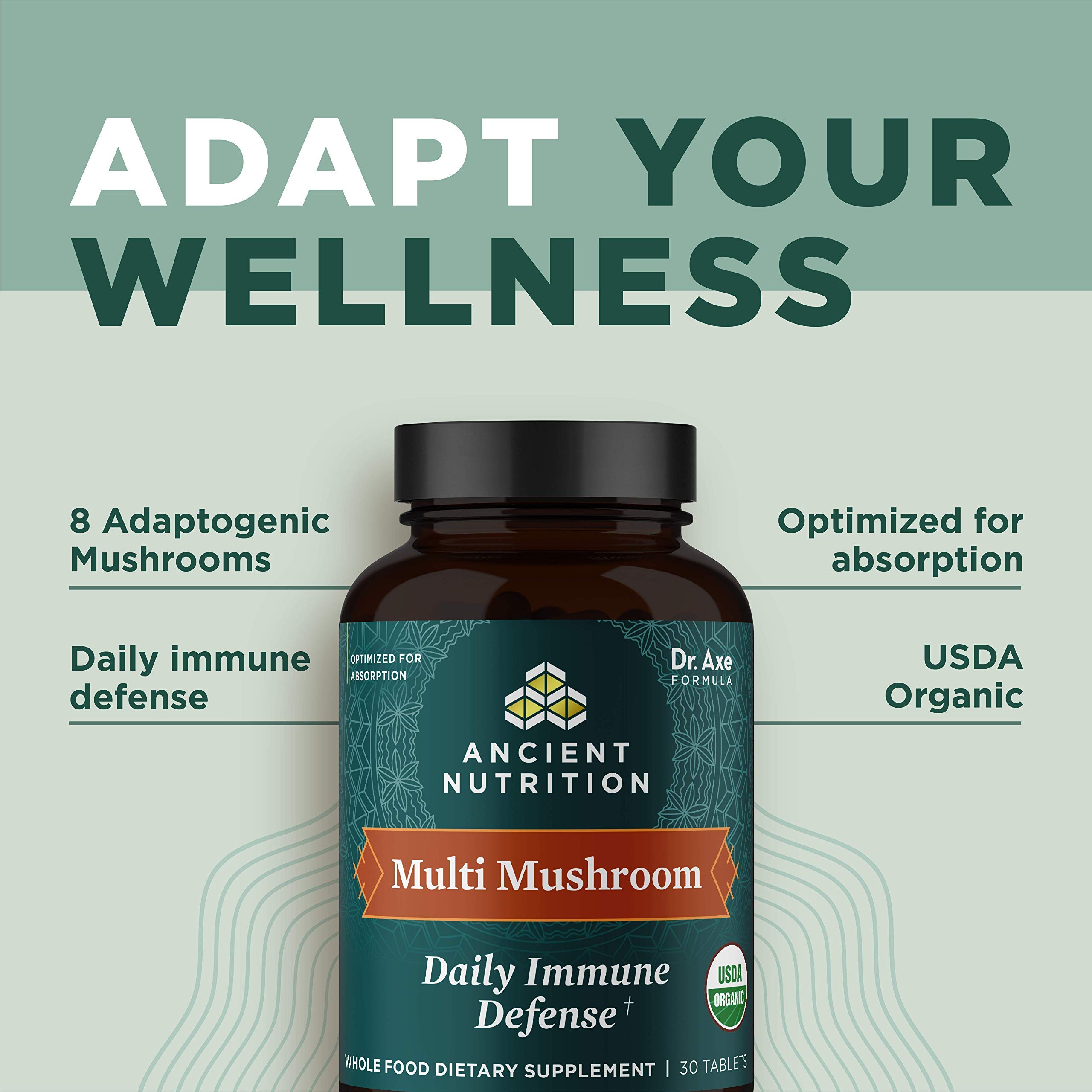 Ancient Nutrition Mushroom Supplement, Organic Multi Mushroom Immune Support Tablet, Supports Stress Response, Gluten Free, Paleo and Keto Friendly, 30 Count - Image 5