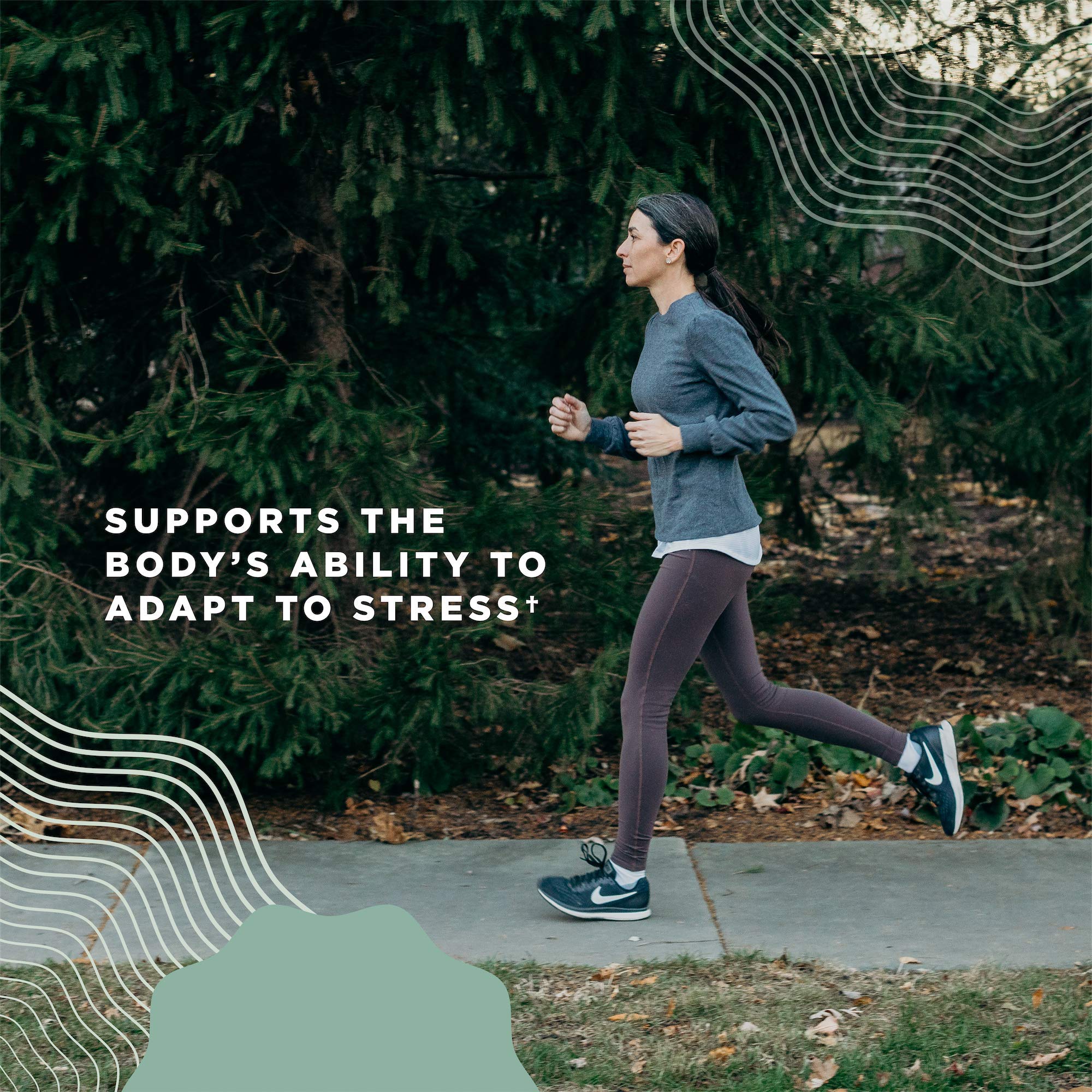 Ancient Nutrition Mushroom Supplement, Organic Multi Mushroom Immune Support Tablet, Supports Stress Response, Gluten Free, Paleo and Keto Friendly, 60 Count - Image 6