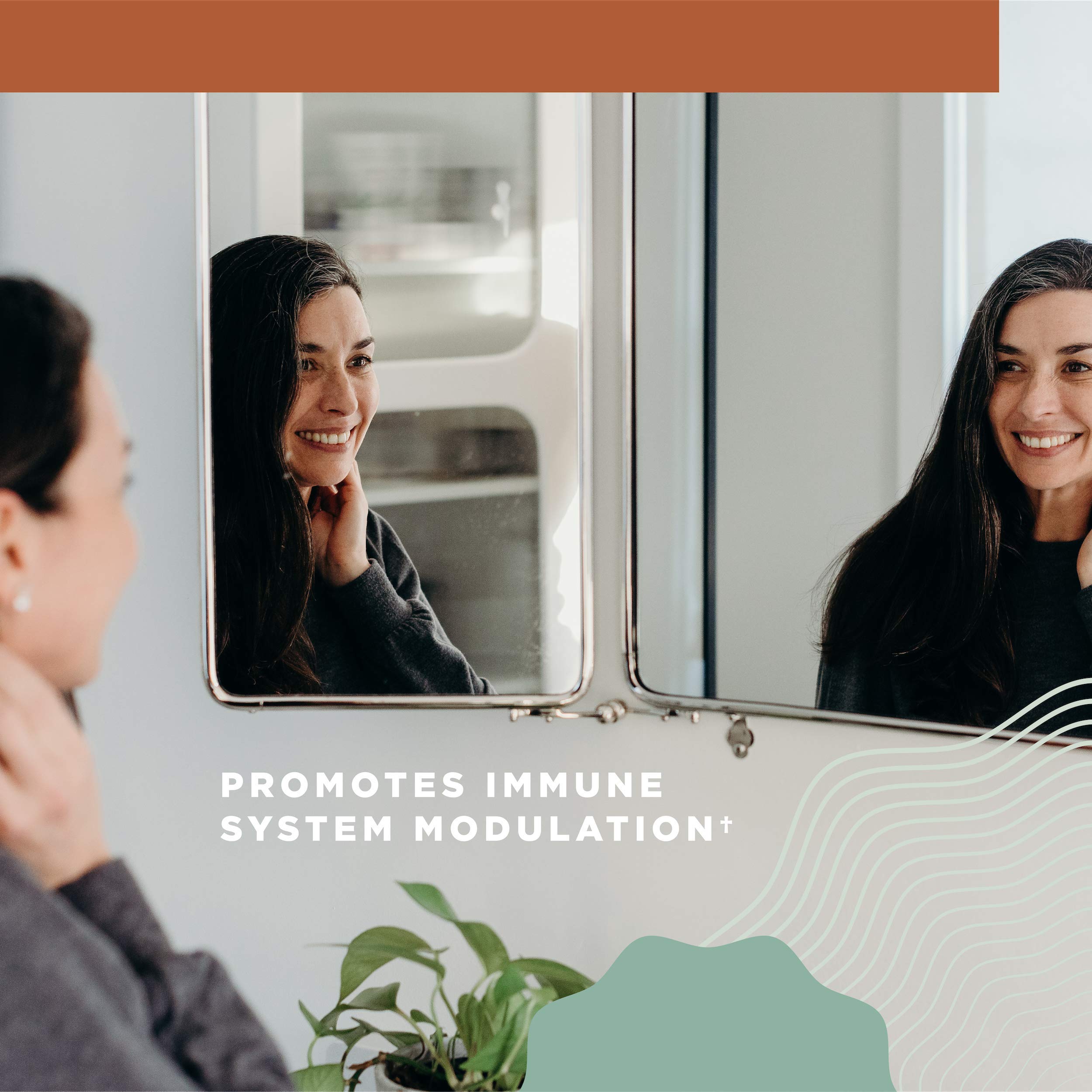 Ancient Nutrition Mushroom Supplement, Organic Multi Mushroom Immune Support Tablet, Supports Stress Response, Gluten Free, Paleo and Keto Friendly, 60 Count - Image 7