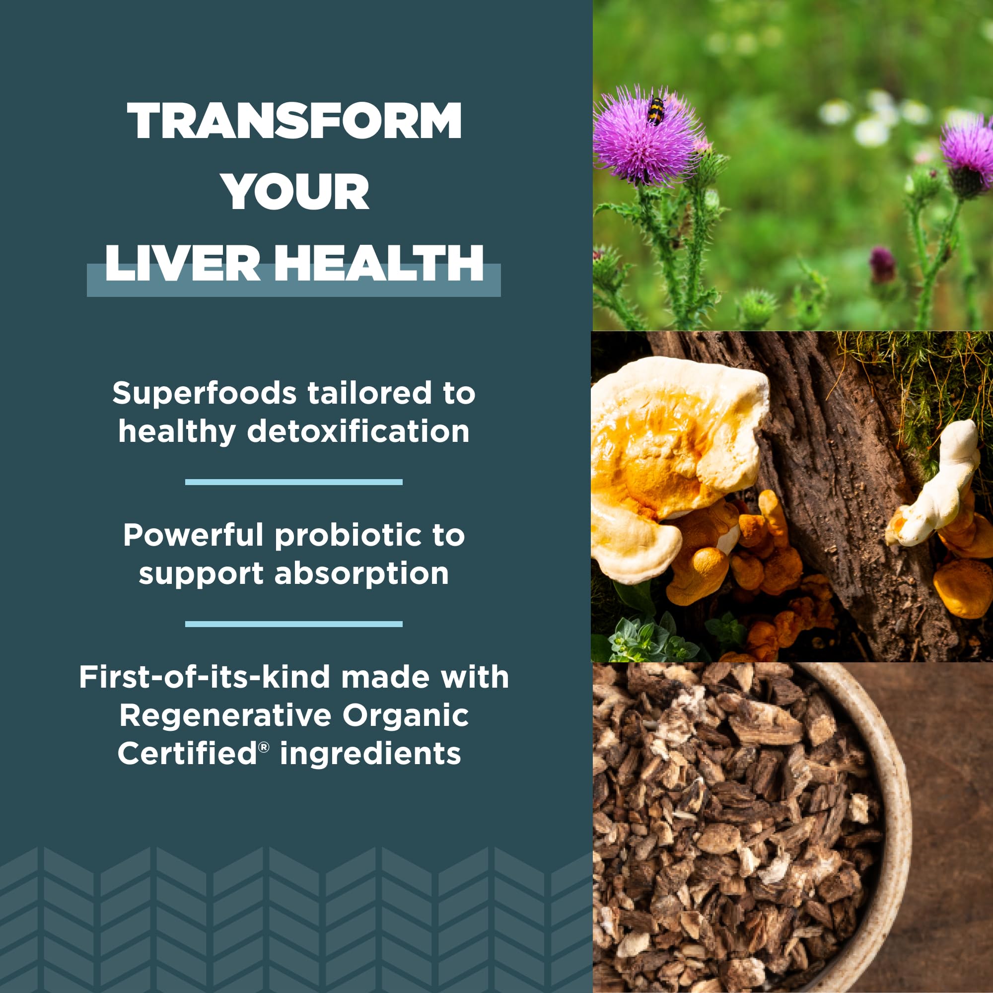 Ancient Nutrition Regenerative Organic Certified Liver Cleanse Supplement, Ancient Herbals Liver Cleanse with Milk Thistle, Burdock Root & Reishi for Optimal Liver Support, Gluten Free, 90 Count - Image 4