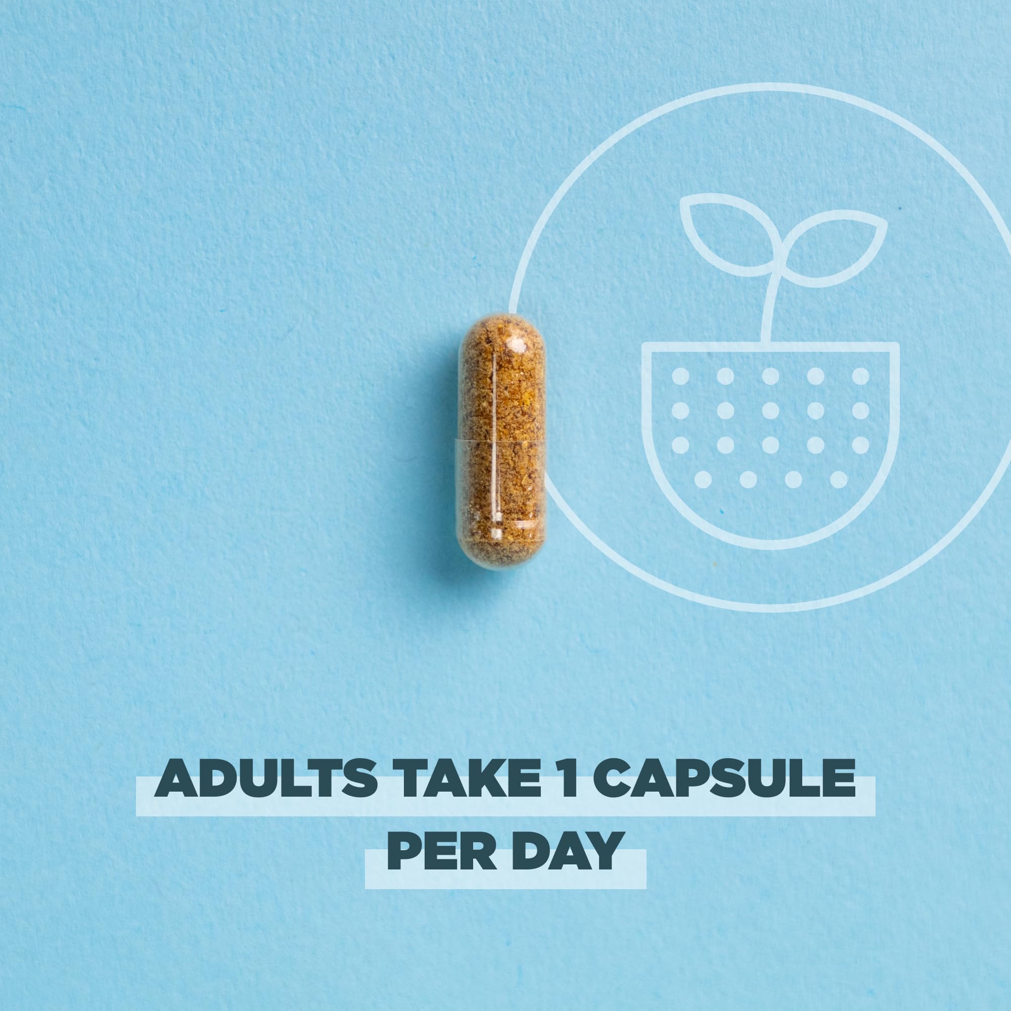 Ancient Nutrition Regenerative Organic Certified Probiotics for Women, Probiotics Women’s Once Daily, for Healthy Digestion and Immune System Function Support, 25 Billion CFUs* Per Serving, 30 Count - Image 5