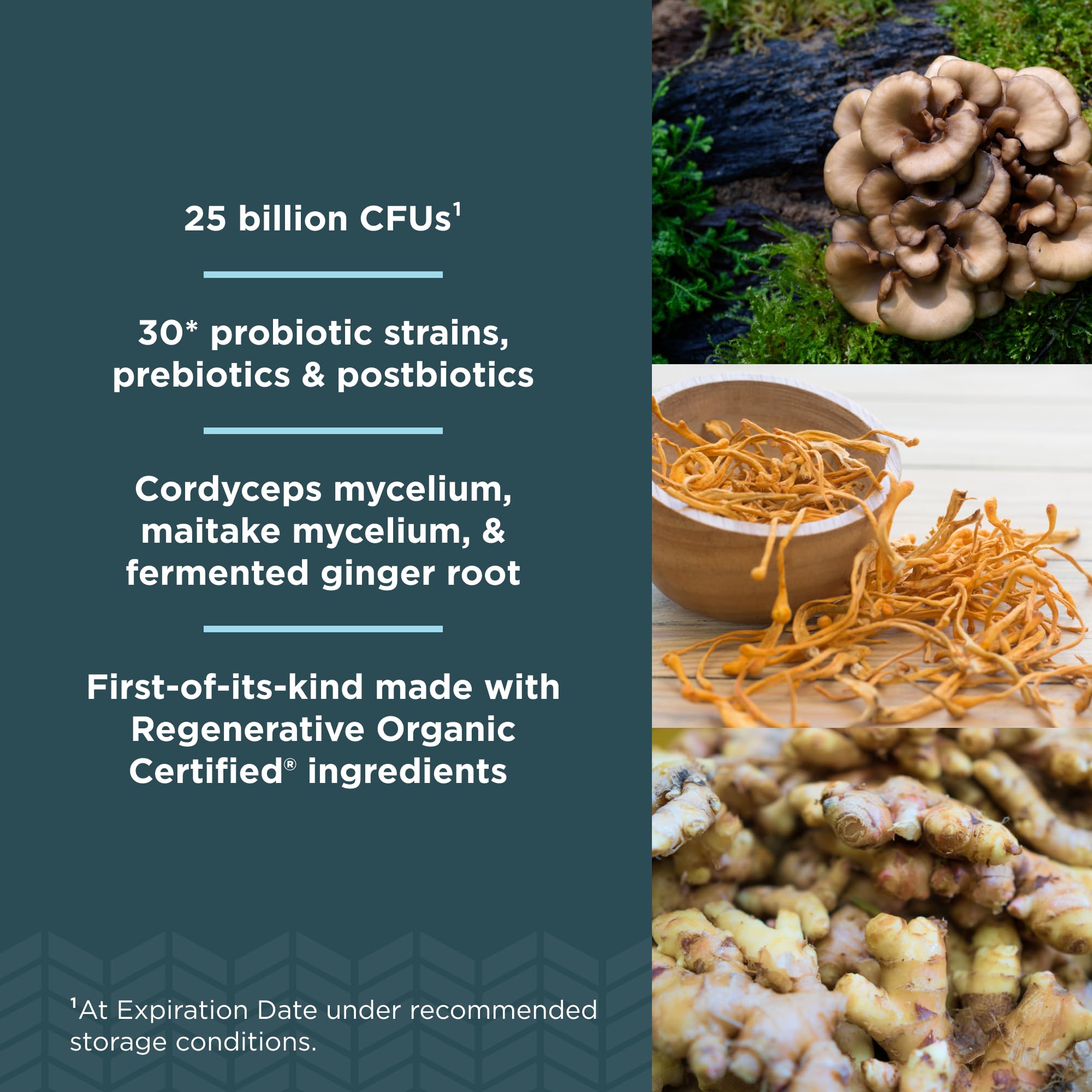 Ancient Nutrition Regenerative Organic Certified Probiotics, Daily Probiotics Once Daily, Healthy Digestion and Immune System Function Support, 25 Billion CFUs* Per Serving, 30 Count - Image 3