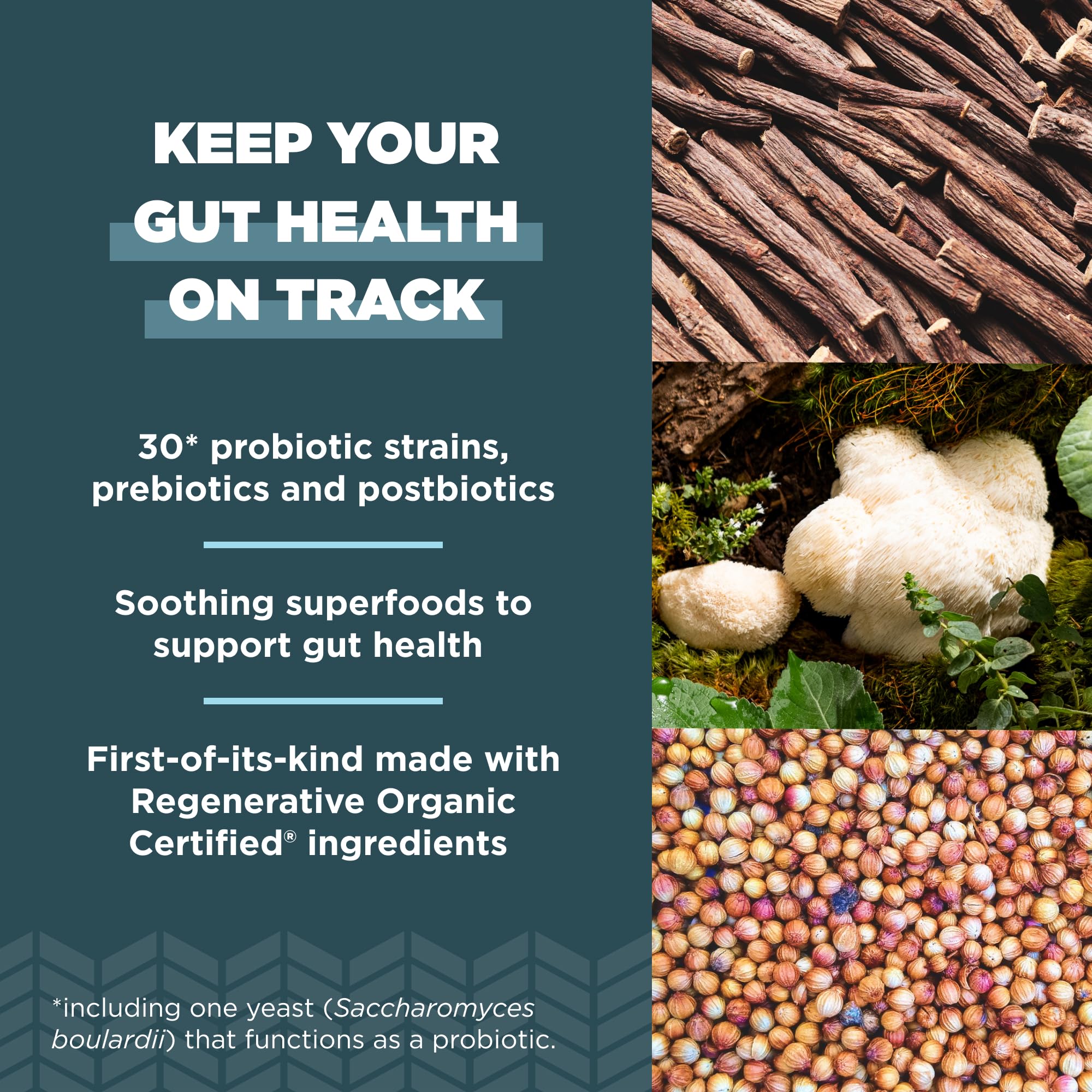 Ancient Nutrition Regenerative Organic Certified Probiotics for Gut Recovery, Probiotics Gut Recovery, for Healthy Digestion and Immune System Function Support, 50 Billion CFUs* Per Serving, 60 Count - Image 3