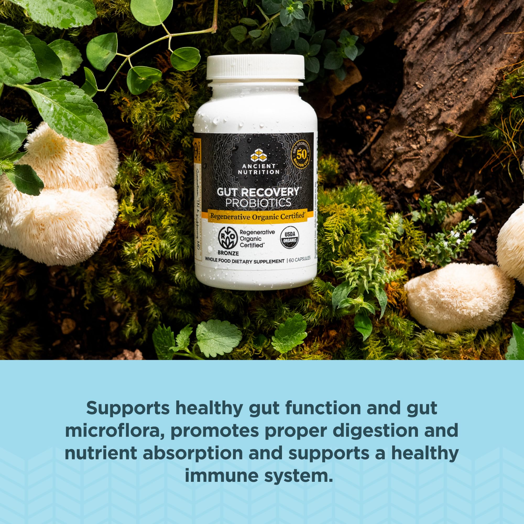 Ancient Nutrition Regenerative Organic Certified Probiotics for Gut Recovery, Probiotics Gut Recovery, for Healthy Digestion and Immune System Function Support, 50 Billion CFUs* Per Serving, 60 Count - Image 4