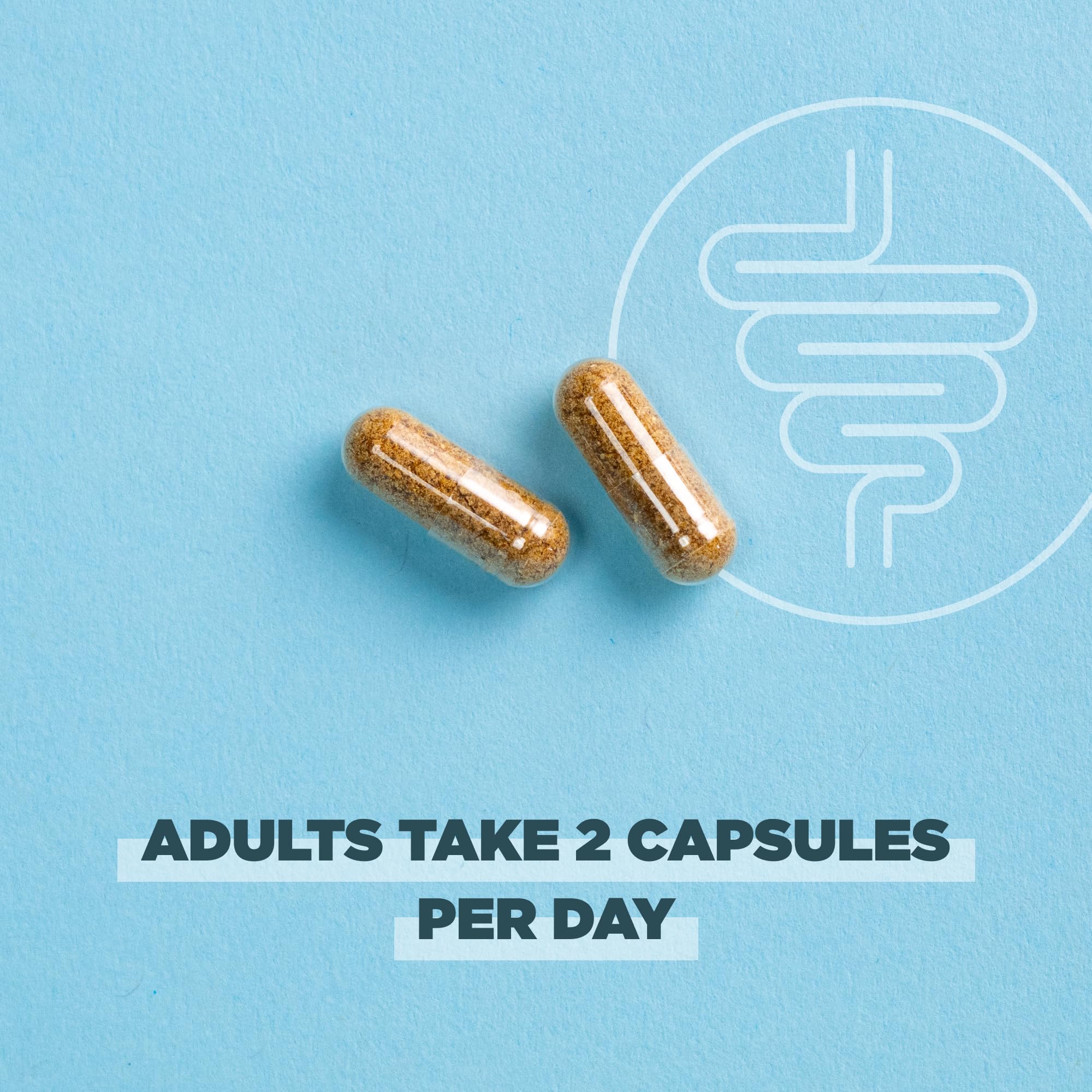 Ancient Nutrition Regenerative Organic Certified Probiotics for Gut Recovery, Probiotics Gut Recovery, for Healthy Digestion and Immune System Function Support, 50 Billion CFUs* Per Serving, 60 Count - Image 5