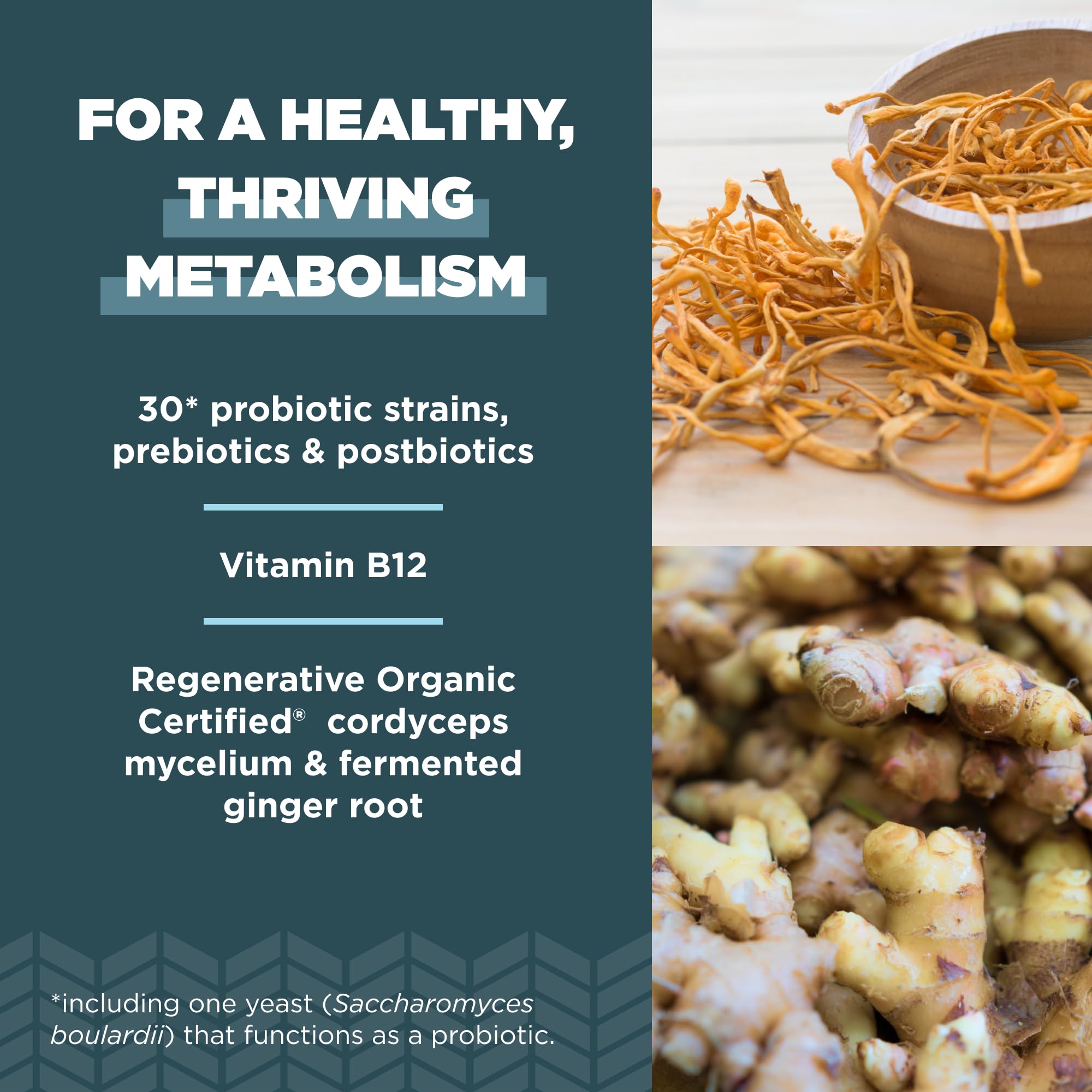 Ancient Nutrition Regenerative Organic Certified Probiotics for Metabolism Support, Healthy Digestion and Immune System Function Support, 50 Billion CFUs* Per Serving, 60 Count - Image 3