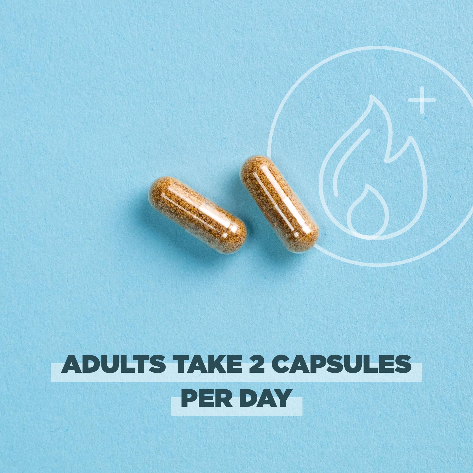 Ancient Nutrition Regenerative Organic Certified Probiotics for Metabolism Support, Healthy Digestion and Immune System Function Support, 50 Billion CFUs* Per Serving, 60 Count - Image 5