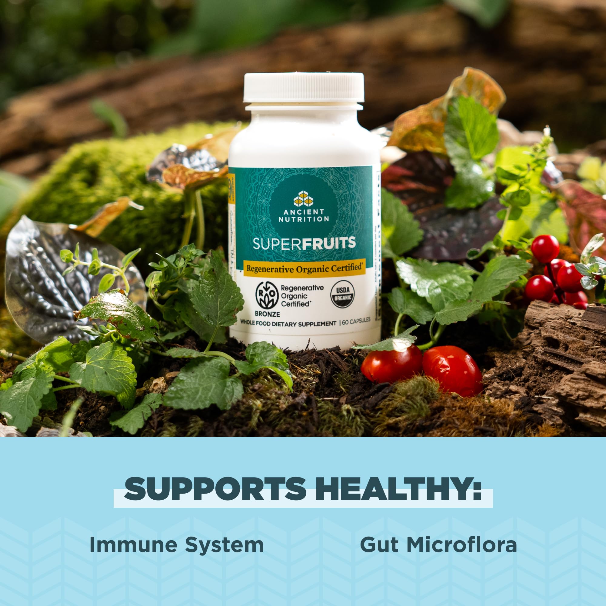 Ancient Nutrition Regenerative Organic Certified SuperFruits Capsules, Supports Gut and Immune System Health, Made with Probiotics, Dragonfruit, Mulberry, and Goji, 60 Count - Image 3