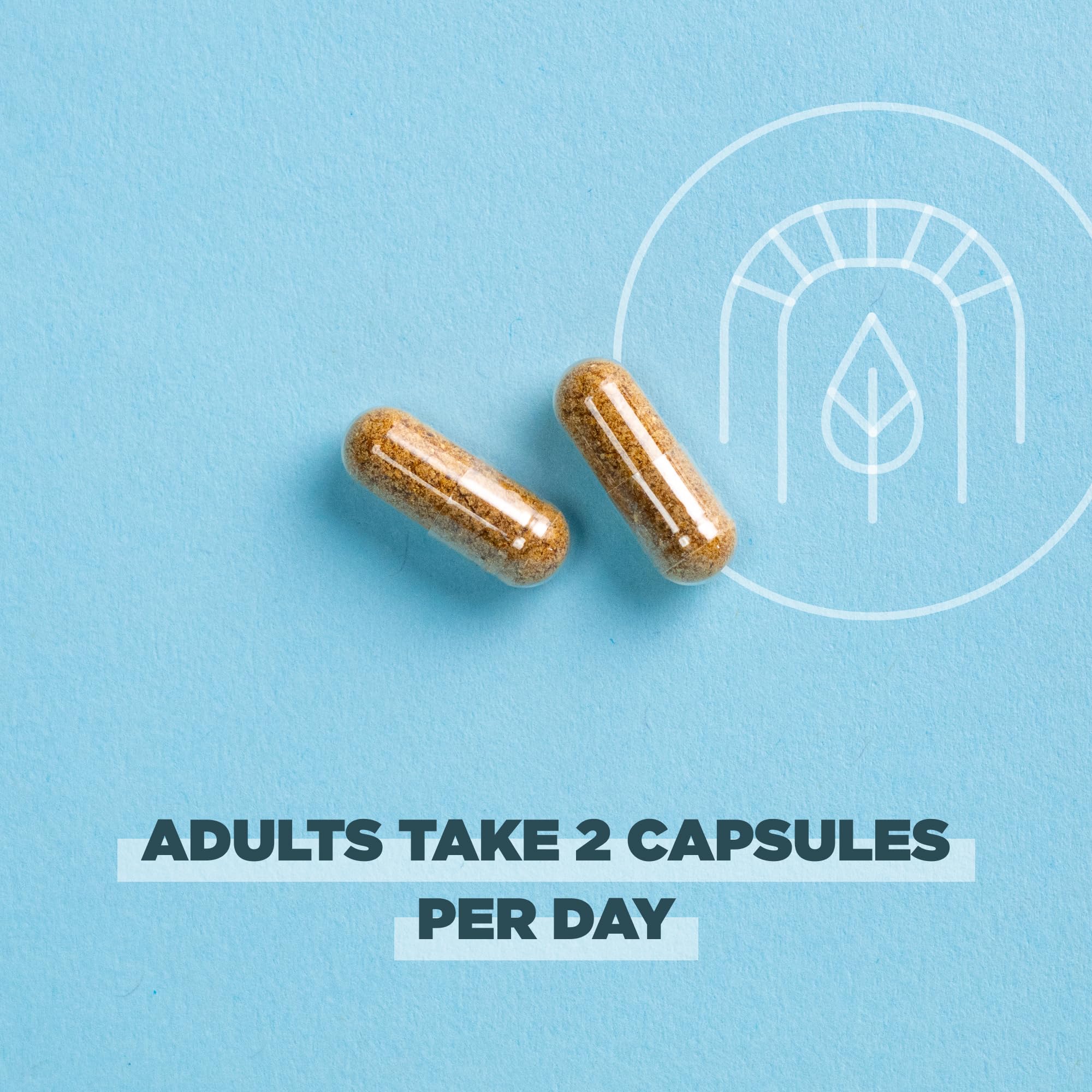 Ancient Nutrition Regenerative Organic Certified SuperFruits Capsules, Supports Gut and Immune System Health, Made with Probiotics, Dragonfruit, Mulberry, and Goji, 60 Count - Image 5