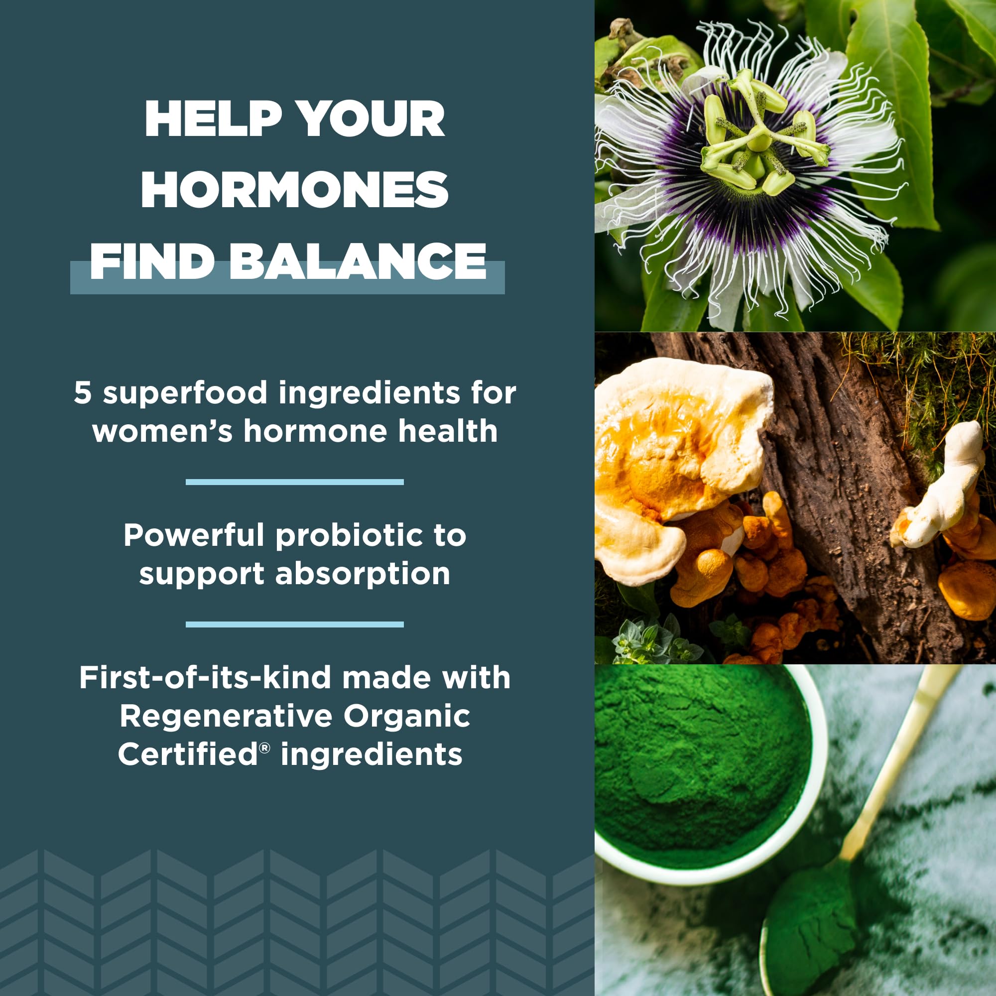 Ancient Nutrition Regenerative Organic Certified Women's Hormones Capsules, Supports Women’s Hormone Health, Healthy Digestion, and Gut Microflora, Gluten Free, Paleo and Keto Friendly, 90 Count - Image 4