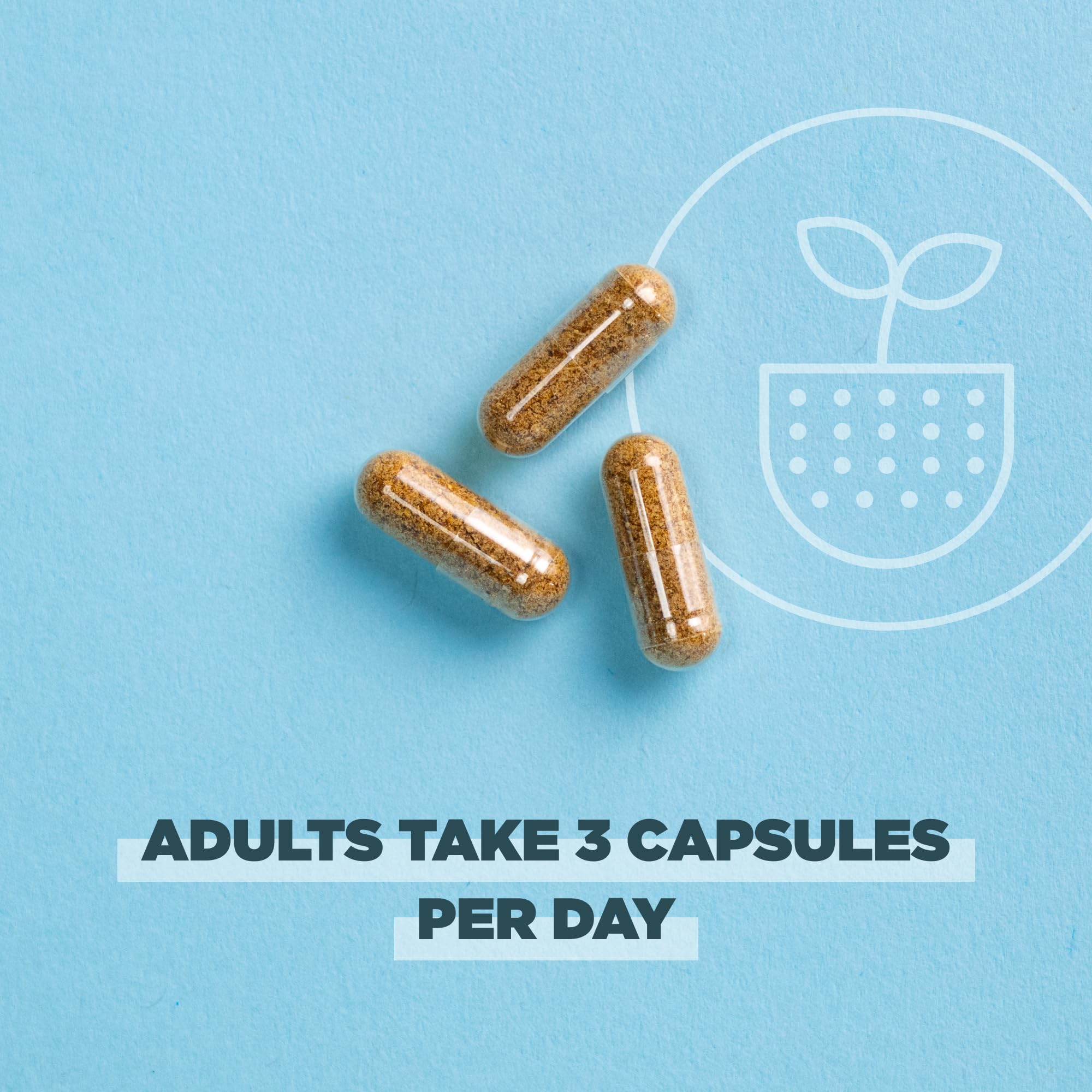 Ancient Nutrition Regenerative Organic Certified Women's Hormones Capsules, Supports Women’s Hormone Health, Healthy Digestion, and Gut Microflora, Gluten Free, Paleo and Keto Friendly, 90 Count - Image 5