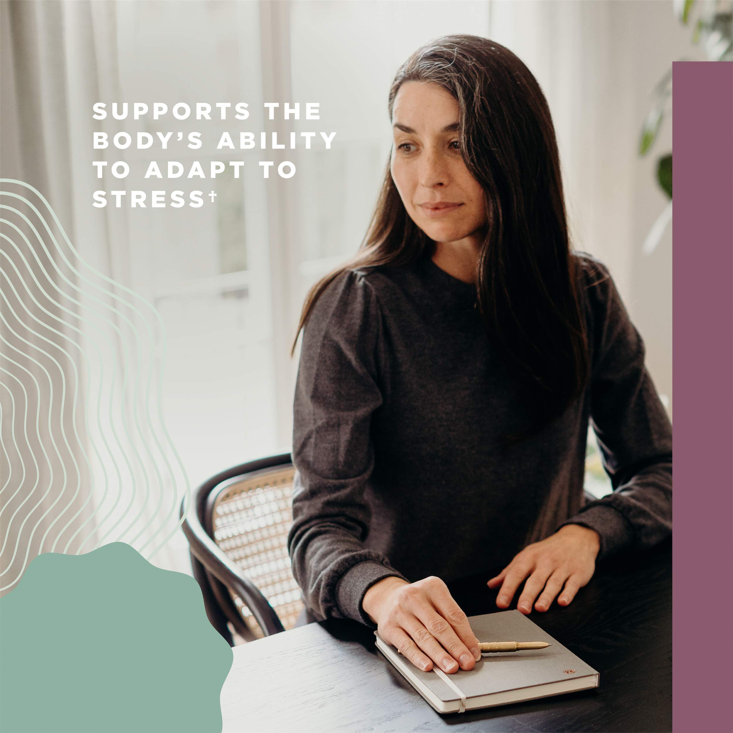 Ancient Nutrition Women's Hormones, Helps Reduce Stress, Supports Energy, Hormone Balance, Gluten Free, Paleo and Keto Friendly, 60 Capsules - Image 5