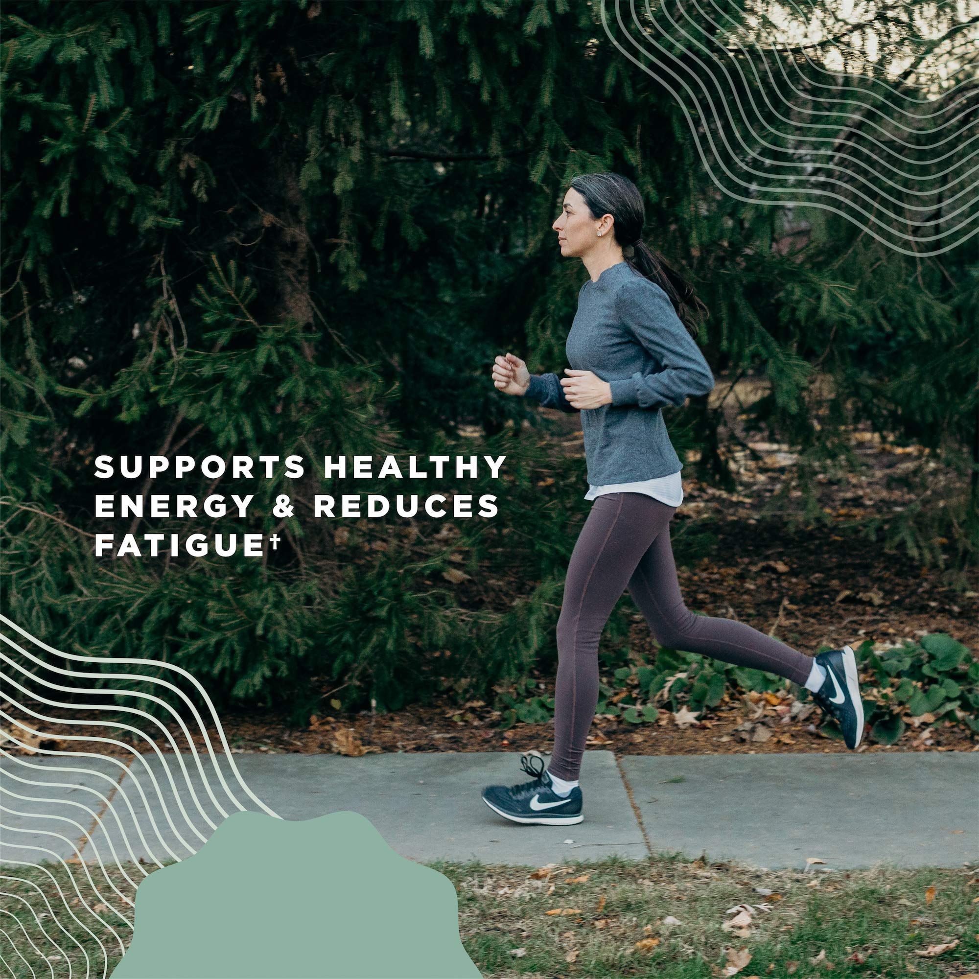 Organic Lion's Mane Mushroom Supplement with Ashwagandha by Ancient Nutrition, Organic Lion's Mane Supports Healthy Energy and Concentration, Reduces Fatigue, Gluten Free and Keto Friendly, 30 Tablets - Image 5