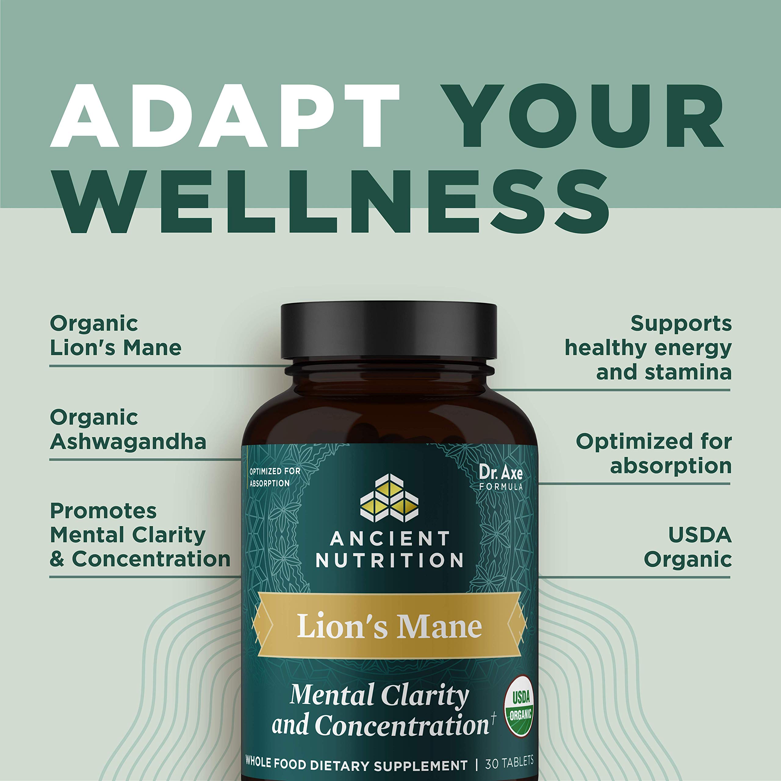 Organic Lion's Mane Mushroom Supplement with Ashwagandha by Ancient Nutrition, Organic Lion's Mane Supports Healthy Energy and Concentration, Reduces Fatigue, Gluten Free and Keto Friendly, 30 Tablets - Image 4