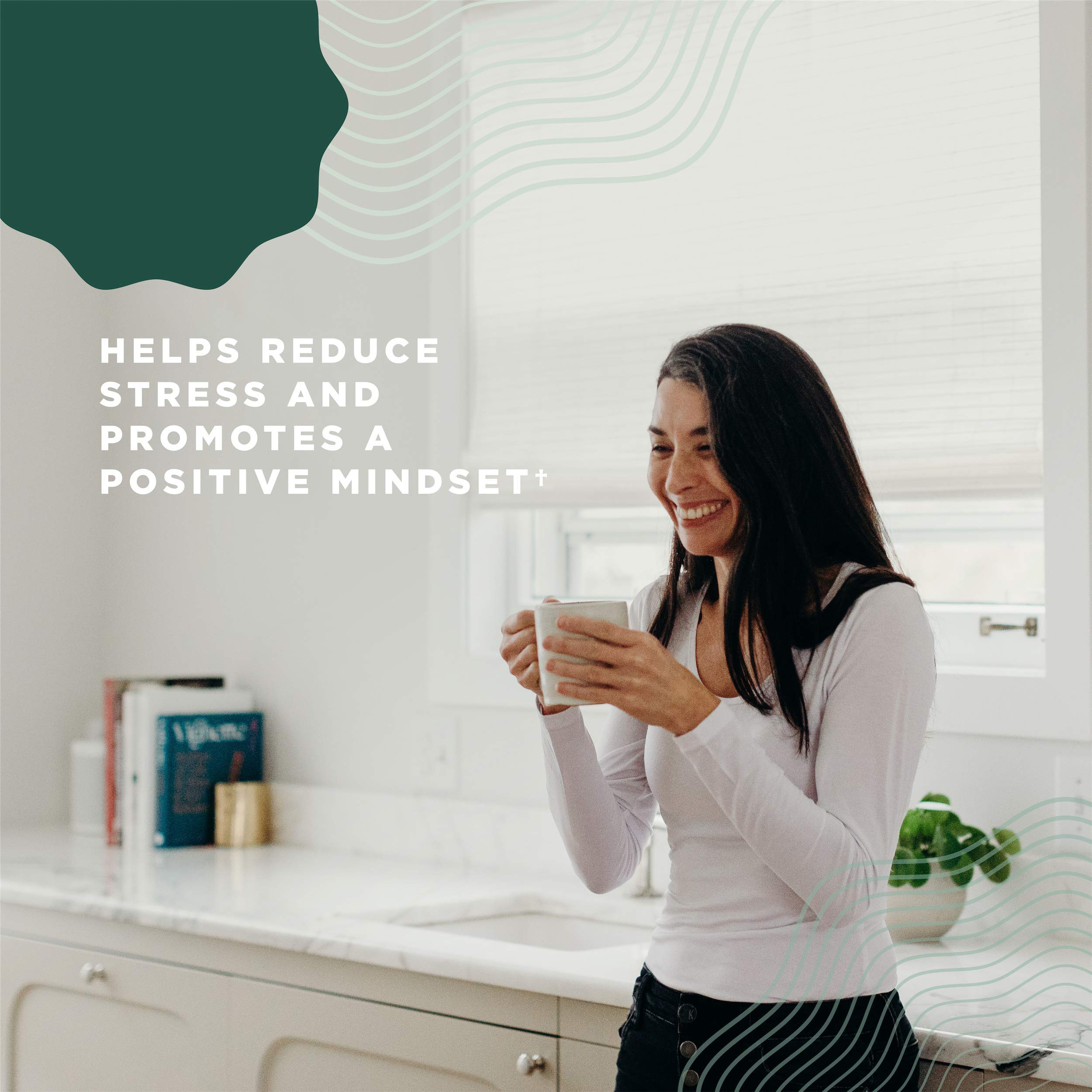 Organic Lion's Mane Mushroom Supplement with Ashwagandha by Ancient Nutrition, Organic Lion's Mane Supports Healthy Energy and Concentration, Reduces Fatigue, Gluten Free and Keto Friendly, 30 Tablets - Image 7